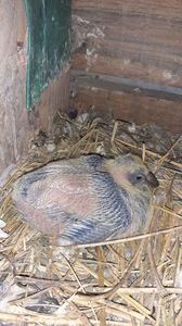 IMG-20240326-WA0022