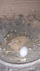 IMG-20240325-WA0012