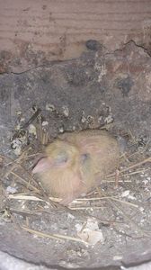 IMG-20240325-WA0011