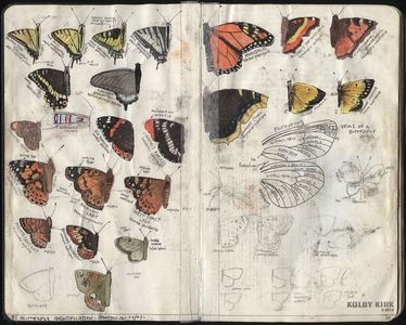 fine, I’ll take a torte out of the tray for you to try...; a devious scheme! — and may I ask, what would you buy instead? (···ɥɔo ¿ʎuɐɯ ooʇ ʇou os)
