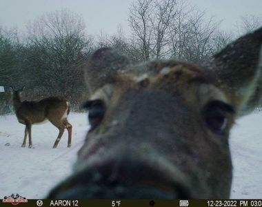 I hid some for you around the house, too. So, anytime you feel like going hunting...!; (I meant to say it, but the guy looks nothing like me).
