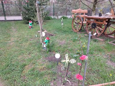 IMG20240401092940