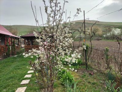 IMG20240401092803
