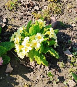 5535cb16-7c3b-4d50-9826-f60c15c59b4c-1_all_8592