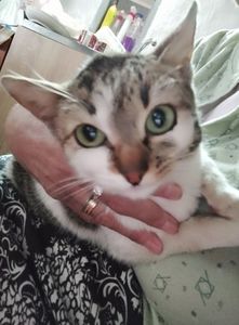 5535cb16-7c3b-4d50-9826-f60c15c59b4c-1_all_8362; Cresc toate, odată !
