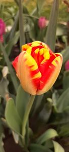 Img-2024.03.31