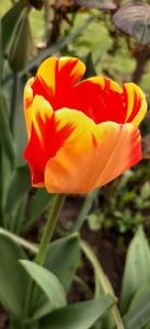Img-2024.03.31