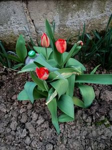 Img.2024.03.31