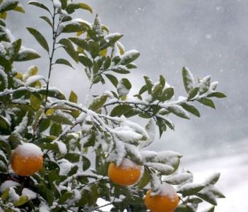 ｏｃｈ Ｉ ｗｉｌｌ ｍｉｓｔｅｒ Ａｂａｇｎａｌｅ！！; if it makes you feel better, we can go to an American party in Charleston, — with burgers and country music! yee-haw!
