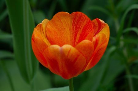 _DSC0500