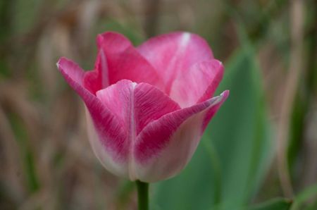 _DSC0502