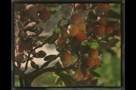 that was my favourite! och, you could have been such good friends,; you have more in common than you think. for starters, he has some dodgy neighbours too! &amp;. there, — is it better now? (I’ll bend for the phone, but when the delivery guy comes, who opens the door?
