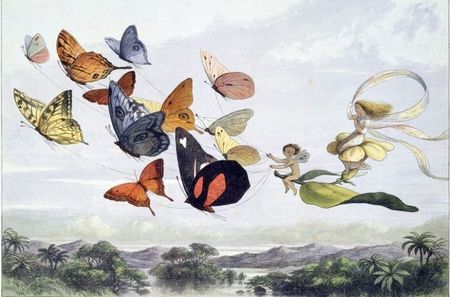 none of us are wearing pants.); they’re really, really expensive, — they make my finger muscles sore, but fine! 
&amp;. what if it’s storming outside?
