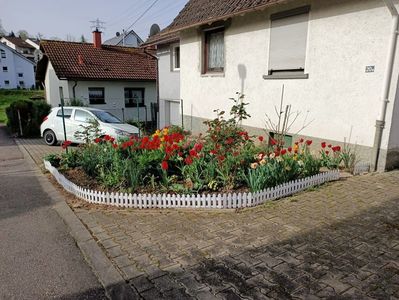 Img.2024.04.08