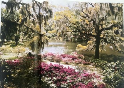 ᘎᗣᒐᙓᖇꙆᗣᙁ! I wouldnʼt have pegged you for a thug.; (I’ll cut off the head so only your knees get the attention.) you do it, but at the price of one, very long Swedish massage. — deal?
