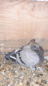 IMG-20240407-WA0041