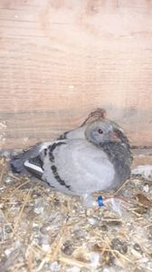 IMG-20240407-WA0040