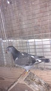 IMG-20240407-WA0014