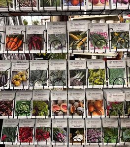 no, — I donʼt want to eat anymore, Iʼll lie down with my head on your comfy thigh.; I know, I could tell you were judging me by the curious looks you shot at me, — actually, I felt like the entire restaurant was staring at the oddball who was cutting her burger into weeny pieces.
