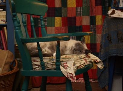 yes, — but I’ll get a present before you because I’m even closer to reaching 6k. ₍˄·͈༝·͈˄*₎◞ ̑̑; if I snuggled in like ‘m snuggling up to you now, I think I’d fit in.
