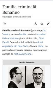 Familia Bonanno Mafia Siciliana Mioara Lufthansa
