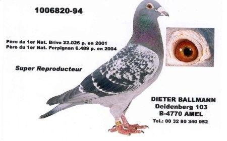 Ballmann_Dieter_superkweker