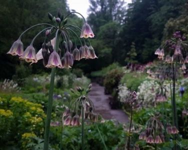 yes, you schmuck, every day you find a way to piss me off and I love you even madder for it!; yes, — Iʼd really like that... how do you always know what to tell me?
