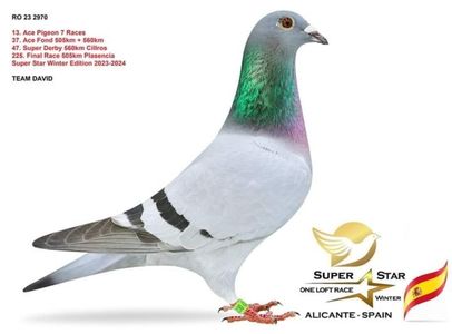 23 - 2970 Col.Superstar-Spania
