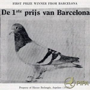 1 int Barcelona 1949
