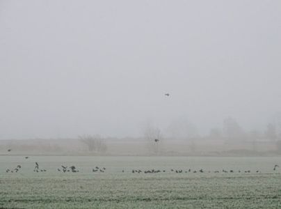 hey, my bites donʼt hurt like paper cuts! — there’s never been a drop of blood spilled.; do you mind? — we’ve had a lot of vacations and...
