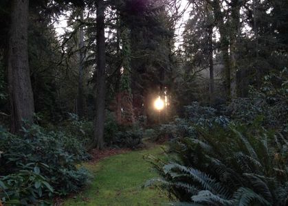 now that’s just going to make me spin even harder!; company I can still provide while asleep, — pampering too if you cuddle with me, — but entertainment… what kind of entertainment? — you’re already against me moving!
