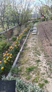 434744026_1793940177778748_4305040977908768094_n (1)