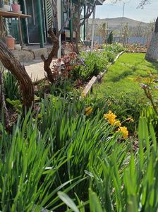 437922503_368650509486123_6362405882014338119_n (1)