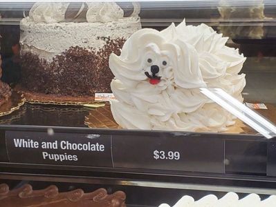They’re pointier than mine. So, I win!; No, from the looks of it, there’s nothing you can buy me. No single jawbreaker, no cake, as if this store ran out of candy!
