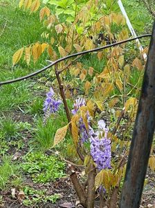 IMG-20240422-WA0089