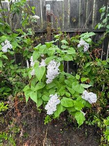 IMG-20240422-WA0093