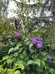 IMG-20240422-WA0097