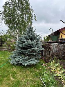 IMG-20240422-WA0103