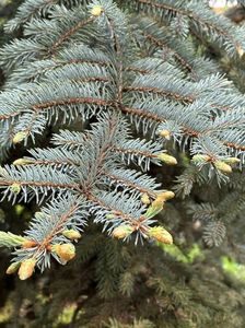 IMG-20240422-WA0105