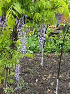 IMG-20240422-WA0108