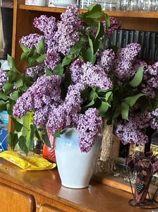 IMG-20240422-WA0113
