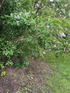 IMG-20240422-WA0115