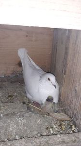 IMG-20240422-WA0007