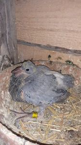 IMG-20240421-WA0018