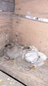 IMG-20240421-WA0014