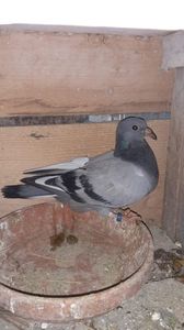 IMG-20240421-WA0019