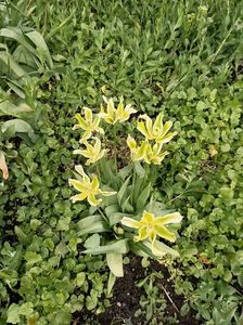 Img.2024.04.26