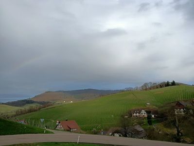 Img.2024.03.18