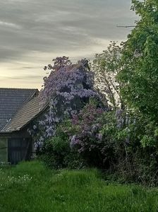 Img.2024.04.14