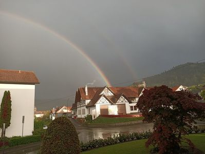 Img.2024.04.24